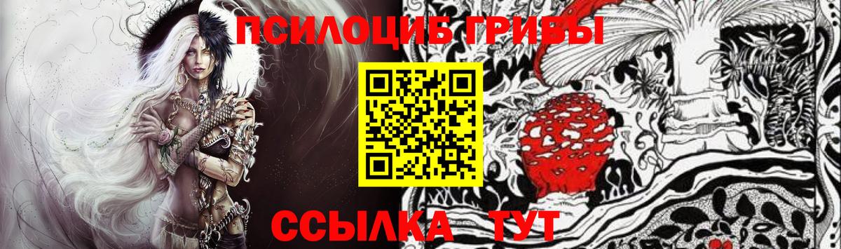 Кудрово  Галлюциногенные грибы Cubensis  Вход с VPN  Псилоцибиновые грибы Cubensis 