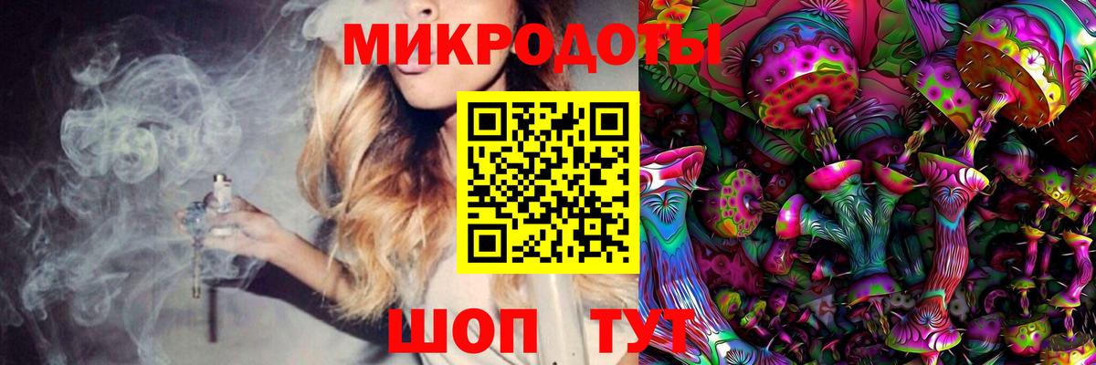 Галлюциногенные грибы Cubensis Кудрово