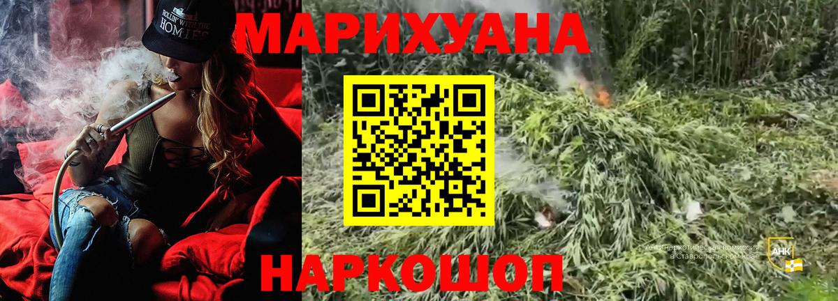 Каннабис OG Kush Кудрово